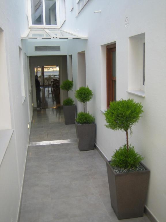 Hostal La Palma Fornells  Exterior photo